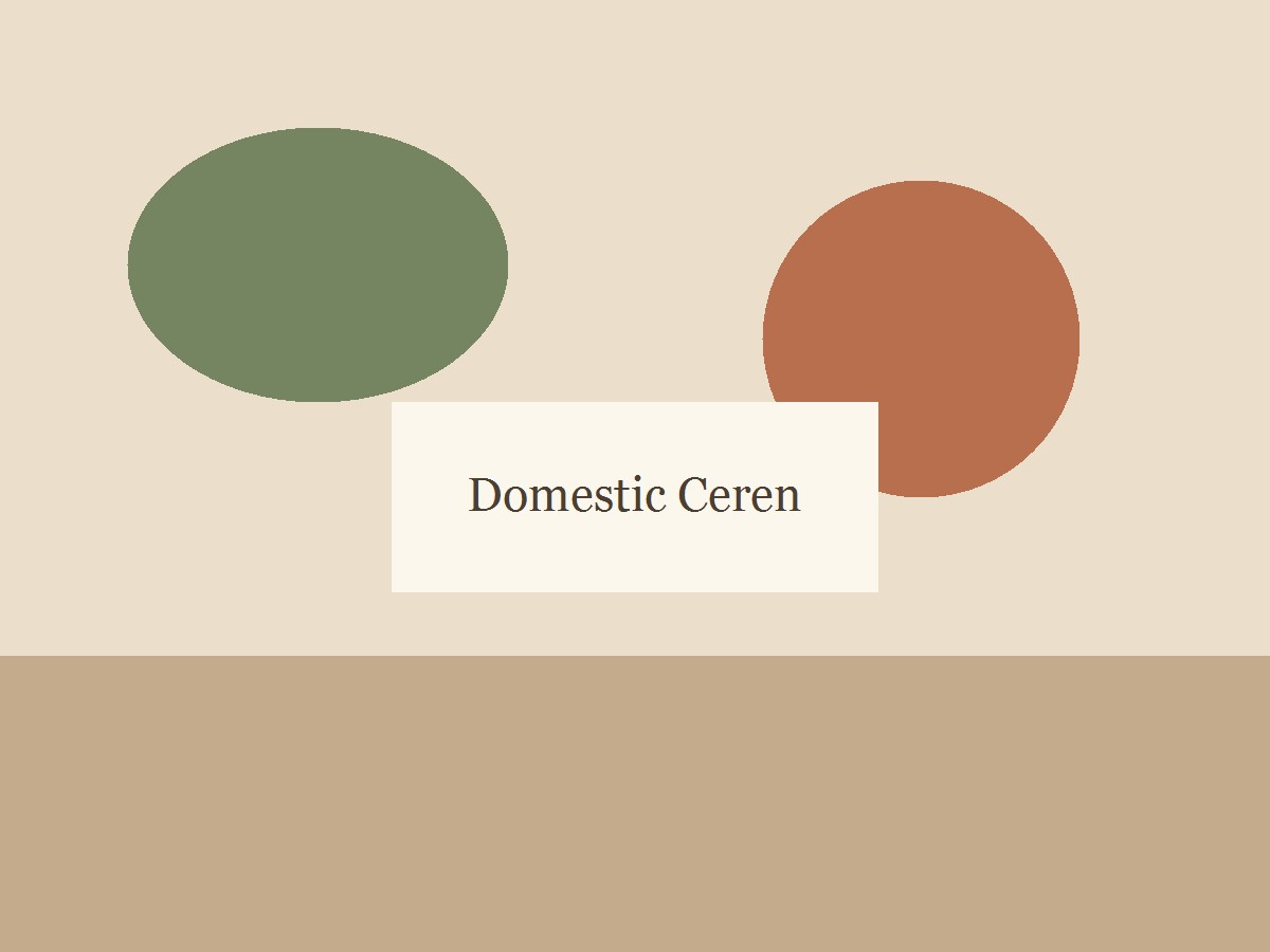 Warm neutral kitchen table with a simple bowl
